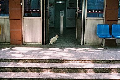 《EA Sports FC 25》封面人物为英国选手祖德·贝林厄姆